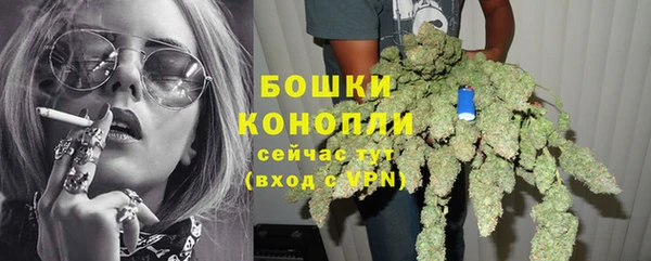 сатива Верхнеуральск